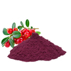  Cranberry-Proanthocyanidin-Pulver